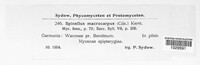 Spinellus fusiger image